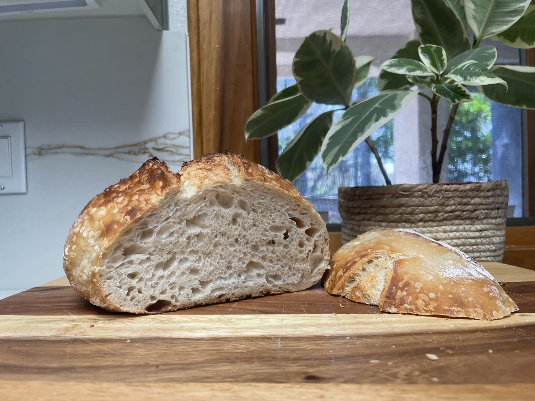 Hand-scored sourdough boule cooling on a rack